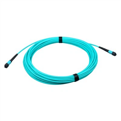 MPO/MTP Fibre Optique Patchcord